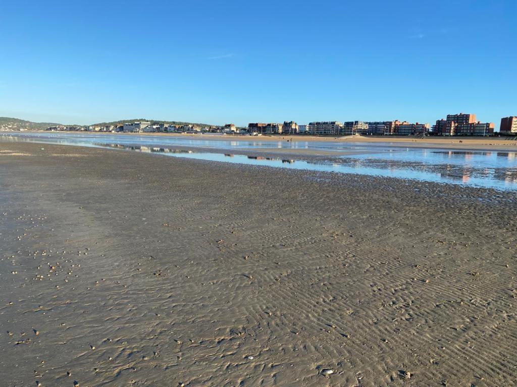 T2 Refait A Neuf Apartment Cabourg Luaran gambar
